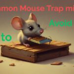 5 Common Mouse Trap Mistakes and How to Avoid Them?